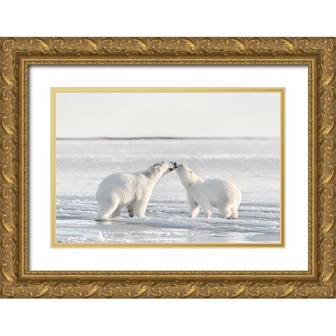 Morning Celebration Gold Ornate Wood Framed Art Print with Double Matting by Itoyama, Eiji