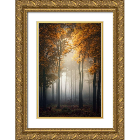 Fall Gold Ornate Wood Framed Art Print with Double Matting by Aurednik, Patrick