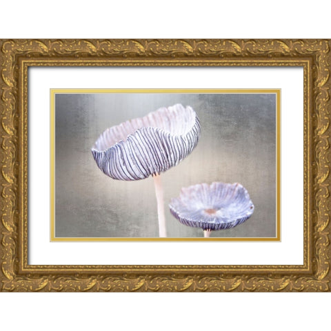Mushroom Gold Ornate Wood Framed Art Print with Double Matting by Cseresnjes, Anna