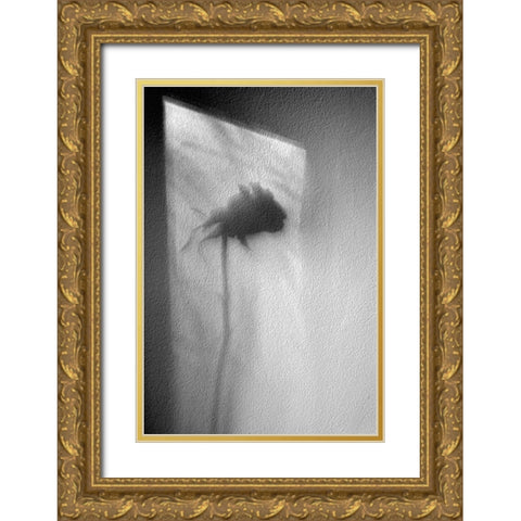 Rose Gold Ornate Wood Framed Art Print with Double Matting by Walla, Marta