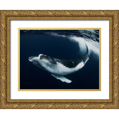 Beautiful Turn Gold Ornate Wood Framed Art Print with Double Matting by Takahashi, Reiko