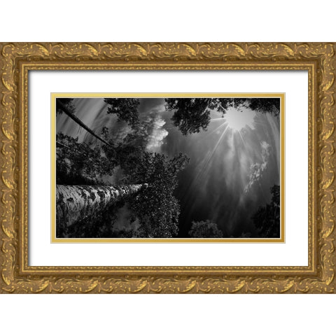 Dreaming Before The Thunder Gold Ornate Wood Framed Art Print with Double Matting by Jigmo, Mikael