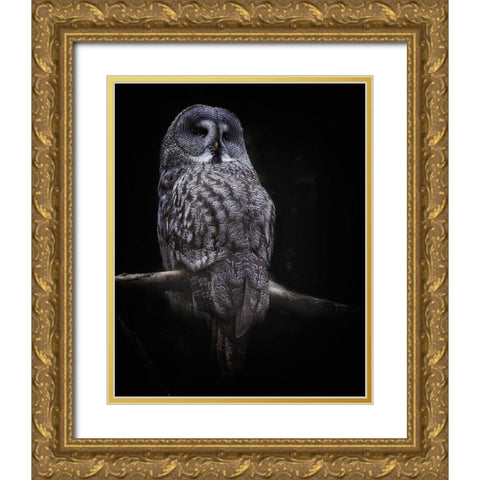 Owl Gold Ornate Wood Framed Art Print with Double Matting by Cseresnjes, Anna