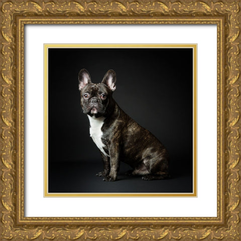 Max Gold Ornate Wood Framed Art Print with Double Matting by Suykerbuyk, Jurgen