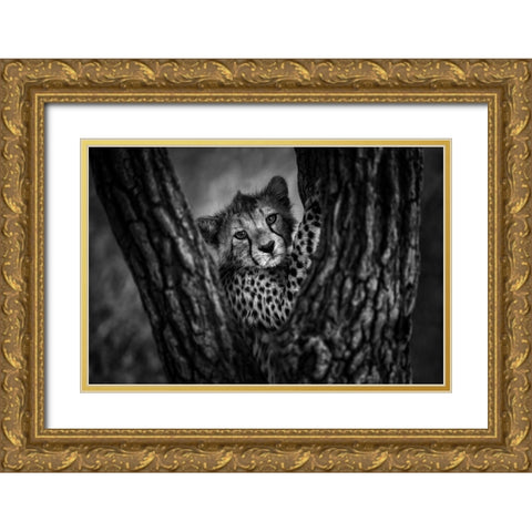 Centered Gold Ornate Wood Framed Art Print with Double Matting by Alnaser, Mohammed