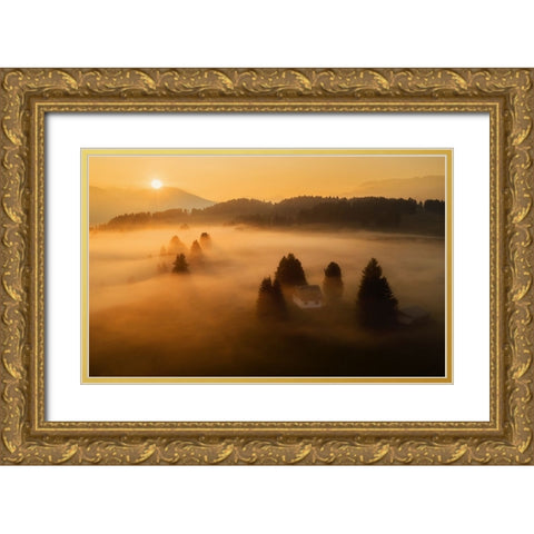 Morning Mist Gold Ornate Wood Framed Art Print with Double Matting by Krivec, Ales