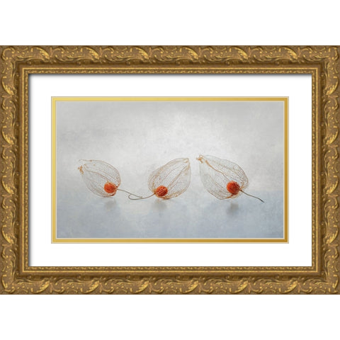 Chinese Lantern Gold Ornate Wood Framed Art Print with Double Matting by Veenstra, Ytje