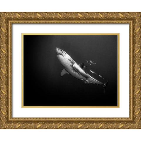 The Great One Gold Ornate Wood Framed Art Print with Double Matting by Melesan, Serge