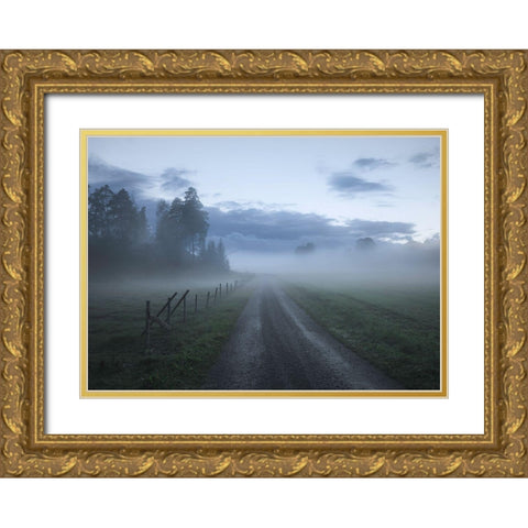 Moody Road Gold Ornate Wood Framed Art Print with Double Matting by Lindsten, Christian