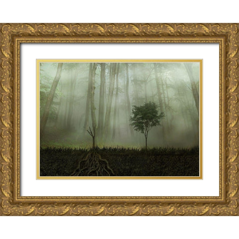 Root 2 Gold Ornate Wood Framed Art Print with Double Matting by Golchin, Aryana