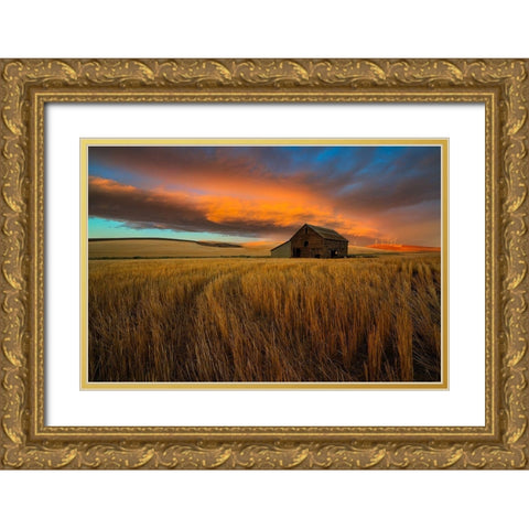 Storm Over Palouse Gold Ornate Wood Framed Art Print with Double Matting by Fan, John