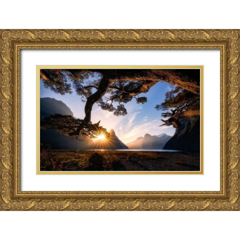 Sunny Day In Milford Sound Gold Ornate Wood Framed Art Print with Double Matting by Zhu, Jingshu