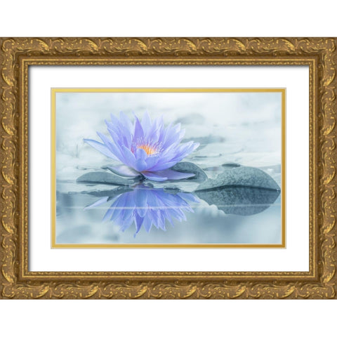 Reflection Gold Ornate Wood Framed Art Print with Double Matting by Suzuki, Takashi