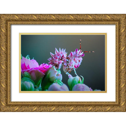 Flower Power 3 Gold Ornate Wood Framed Art Print with Double Matting by Hoffman, Jimmy