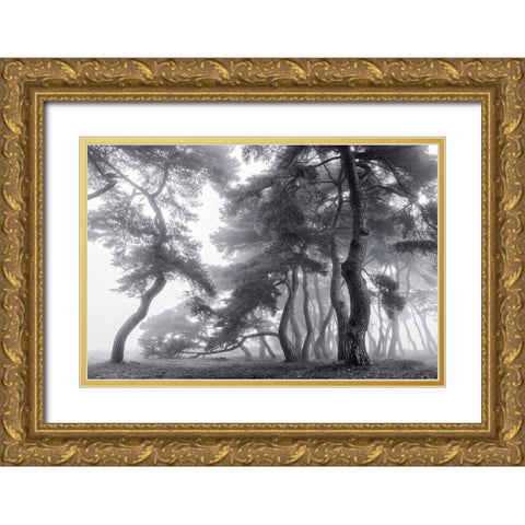 Endure For A Hundred Years Gold Ornate Wood Framed Art Print with Double Matting by Seo, Tiger