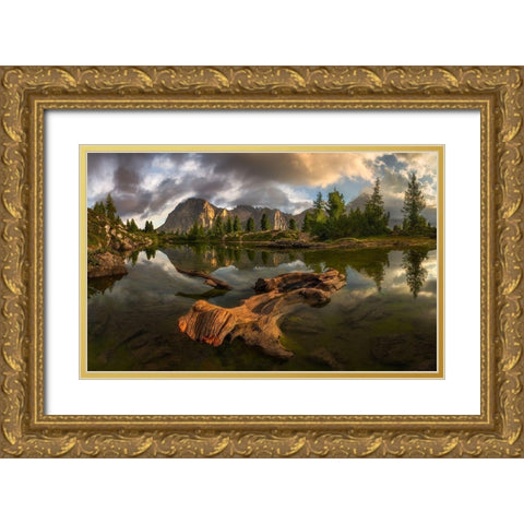 Untitled Gold Ornate Wood Framed Art Print with Double Matting by Rojek, Tomasz