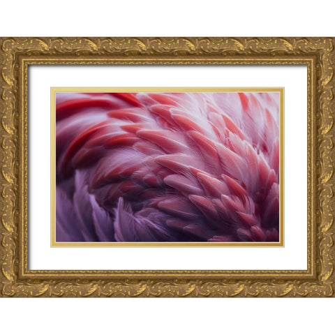 Flamingo Gold Ornate Wood Framed Art Print with Double Matting by Beata, Angyalosi
