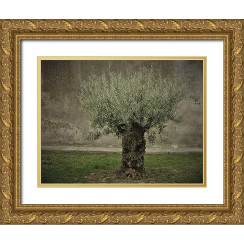 Olive Gold Ornate Wood Framed Art Print with Double Matting by Irmawarth