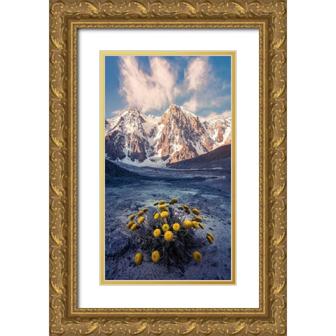 Snow Mountain Camomile A??Accappc??EÂ?A?? Gold Ornate Wood Framed Art Print with Double Matting by Qiye