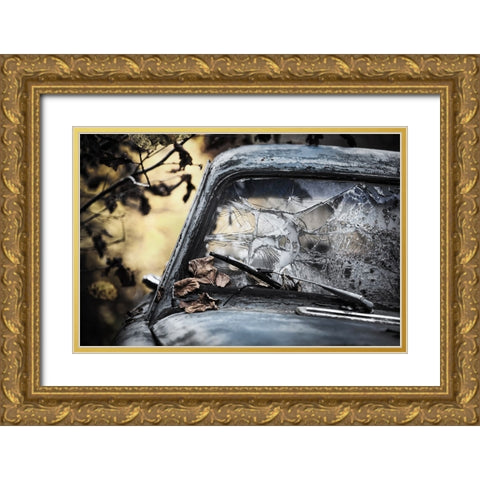 Broken Gold Ornate Wood Framed Art Print with Double Matting by Pettersson, Benny