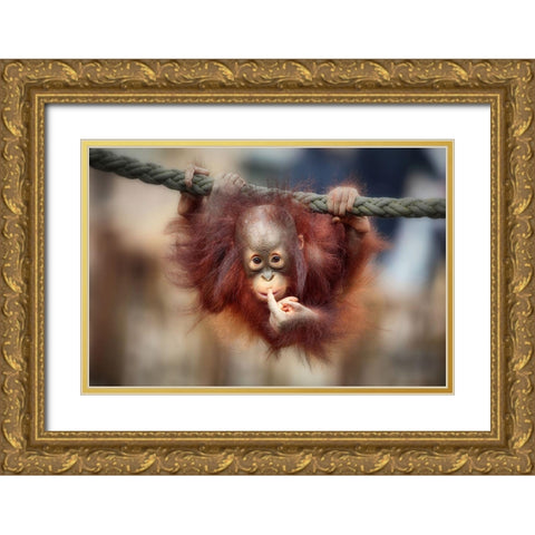 The Big Query Gold Ornate Wood Framed Art Print with Double Matting by Wenner-Braun, Antje