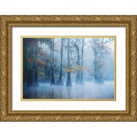 Foggy Swamp Morning Gold Ornate Wood Framed Art Print with Double Matting by H., Aijing