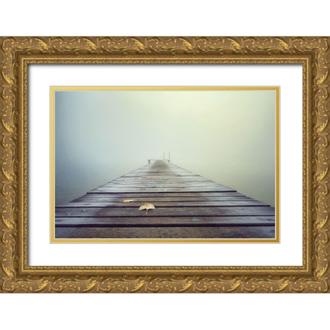Cold And Misty Morning Gold Ornate Wood Framed Art Print with Double Matting by Eisenmann, Ulrike