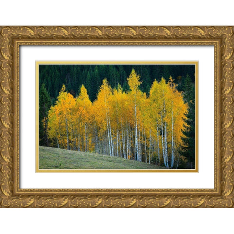 Autumn Gold Ornate Wood Framed Art Print with Double Matting by Hamiti, Bess