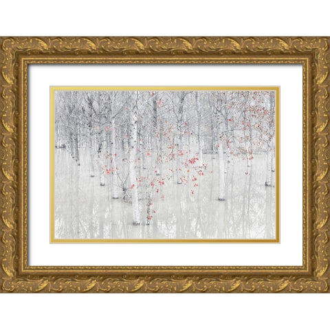 Red A White Gold Ornate Wood Framed Art Print with Double Matting by Carozzi, Fiorenzo