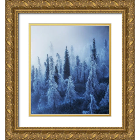 Enchanted Forest Gold Ornate Wood Framed Art Print with Double Matting by Krivec, Ales