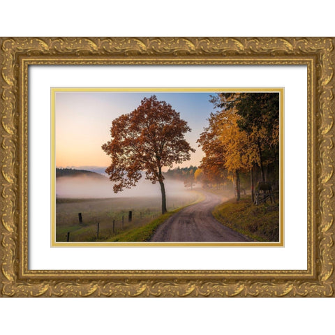 Countryside Vibes Gold Ornate Wood Framed Art Print with Double Matting by Lindsten, Christian