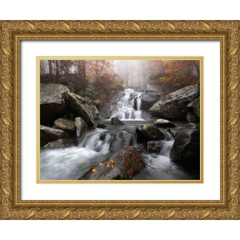 Autumn Fog Gold Ornate Wood Framed Art Print with Double Matting by Tavani, Francesco