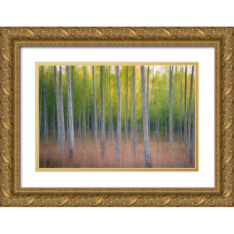 Intentional Camera Movement Gold Ornate Wood Framed Art Print with Double Matting by Lindsten, Christian