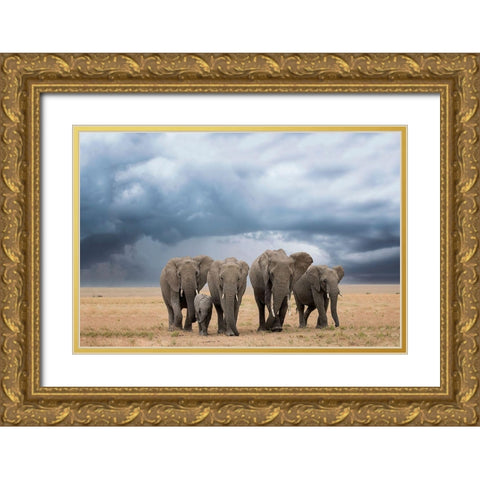 Elephant Walk Gold Ornate Wood Framed Art Print with Double Matting by Doyle, Renee