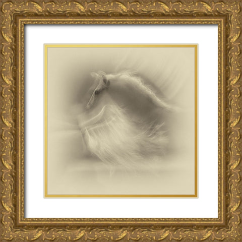 White On White Gold Ornate Wood Framed Art Print with Double Matting by Malovrh, Milan