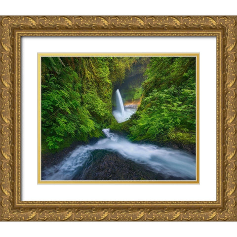 Rainbow In The Mist Gold Ornate Wood Framed Art Print with Double Matting by Moore, Chris