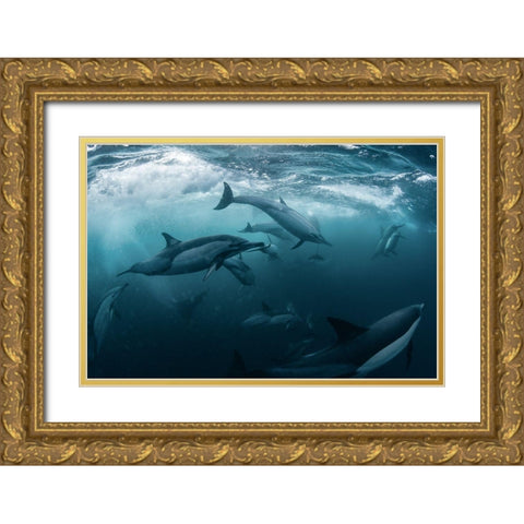 Dolphine Run Gold Ornate Wood Framed Art Print with Double Matting by Narchuk, Andrey
