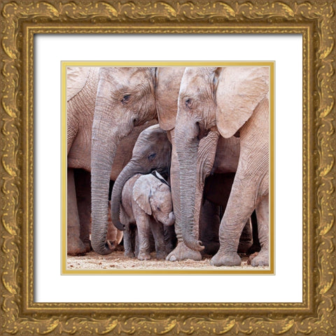 Family Gold Ornate Wood Framed Art Print with Double Matting by Pearce, Robert