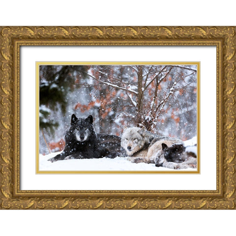 Family Portrait Gold Ornate Wood Framed Art Print with Double Matting by Itoyama, Eiji