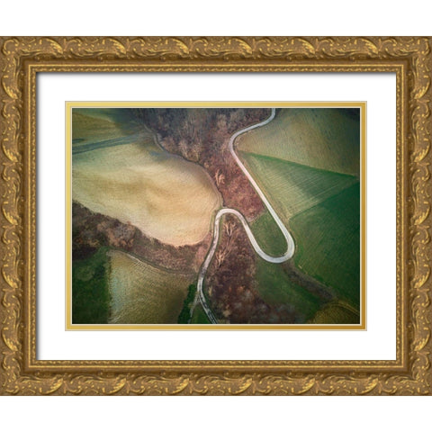 Anthropocene Gold Ornate Wood Framed Art Print with Double Matting by Bertusi, Ivan