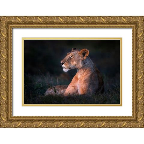 Lone Lioness Gold Ornate Wood Framed Art Print with Double Matting by Ortega, Xavier