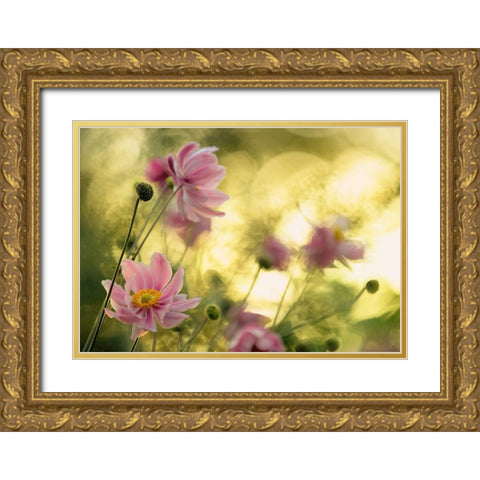 Dance Of The Flowers Gold Ornate Wood Framed Art Print with Double Matting by Moore, Steve
