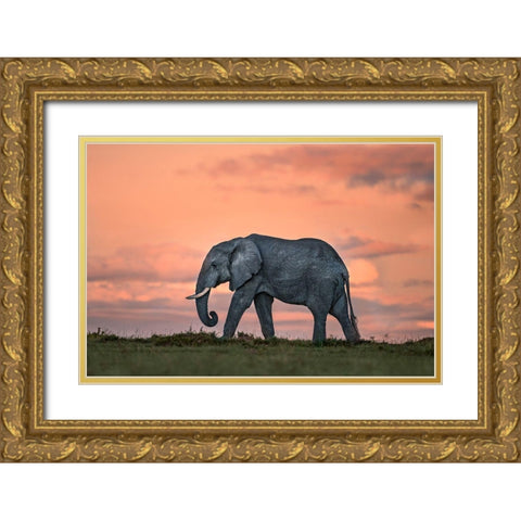 Elephant At Dusk Gold Ornate Wood Framed Art Print with Double Matting by Ortega, Xavier