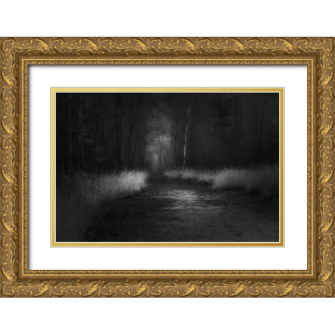 Shades In Black Gold Ornate Wood Framed Art Print with Double Matting by Dingemans, Saskia