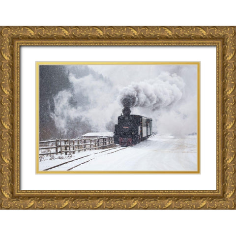 Mocanita Hutulca Gold Ornate Wood Framed Art Print with Double Matting by Dorin Lucian, Sveduneac