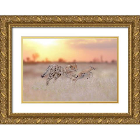 Cheetah Hunting A Gazelle Gold Ornate Wood Framed Art Print with Double Matting by Ozmen, Ozkan