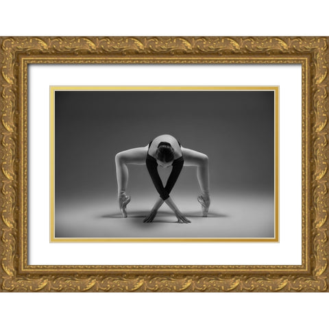 Elegant Gold Ornate Wood Framed Art Print with Double Matting by Li, Rob