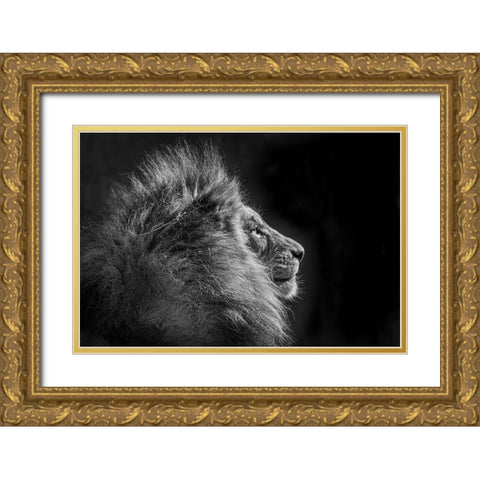 Simba In Monochrome Gold Ornate Wood Framed Art Print with Double Matting by C. Sink, Jeffrey