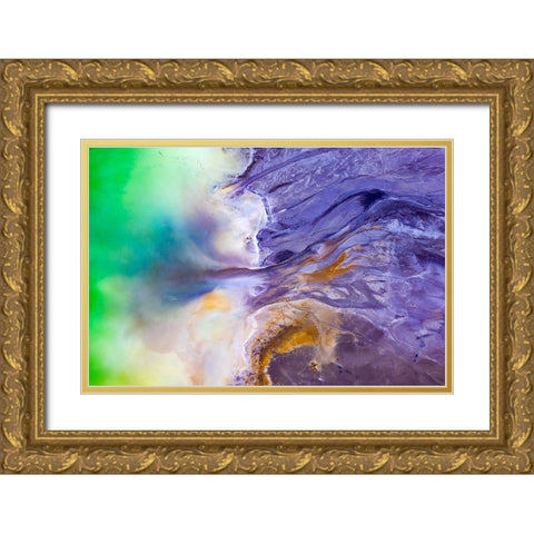 Beautiful Poison Gold Ornate Wood Framed Art Print with Double Matting by Erika, Eros