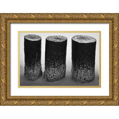 Wooden Wave Breaker Gold Ornate Wood Framed Art Print with Double Matting by Ebert, Steffen